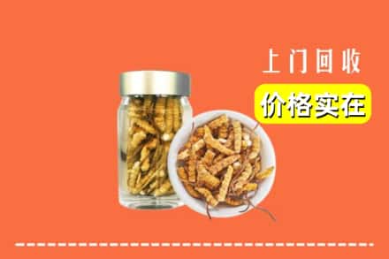 沧州市黄骅回收散虫草