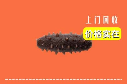 沧州市黄骅回收海参