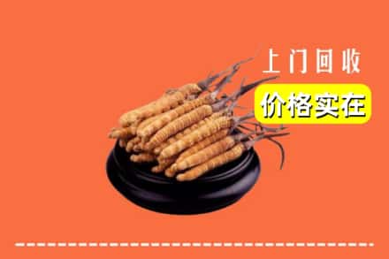 沧州市黄骅回收冬虫夏草